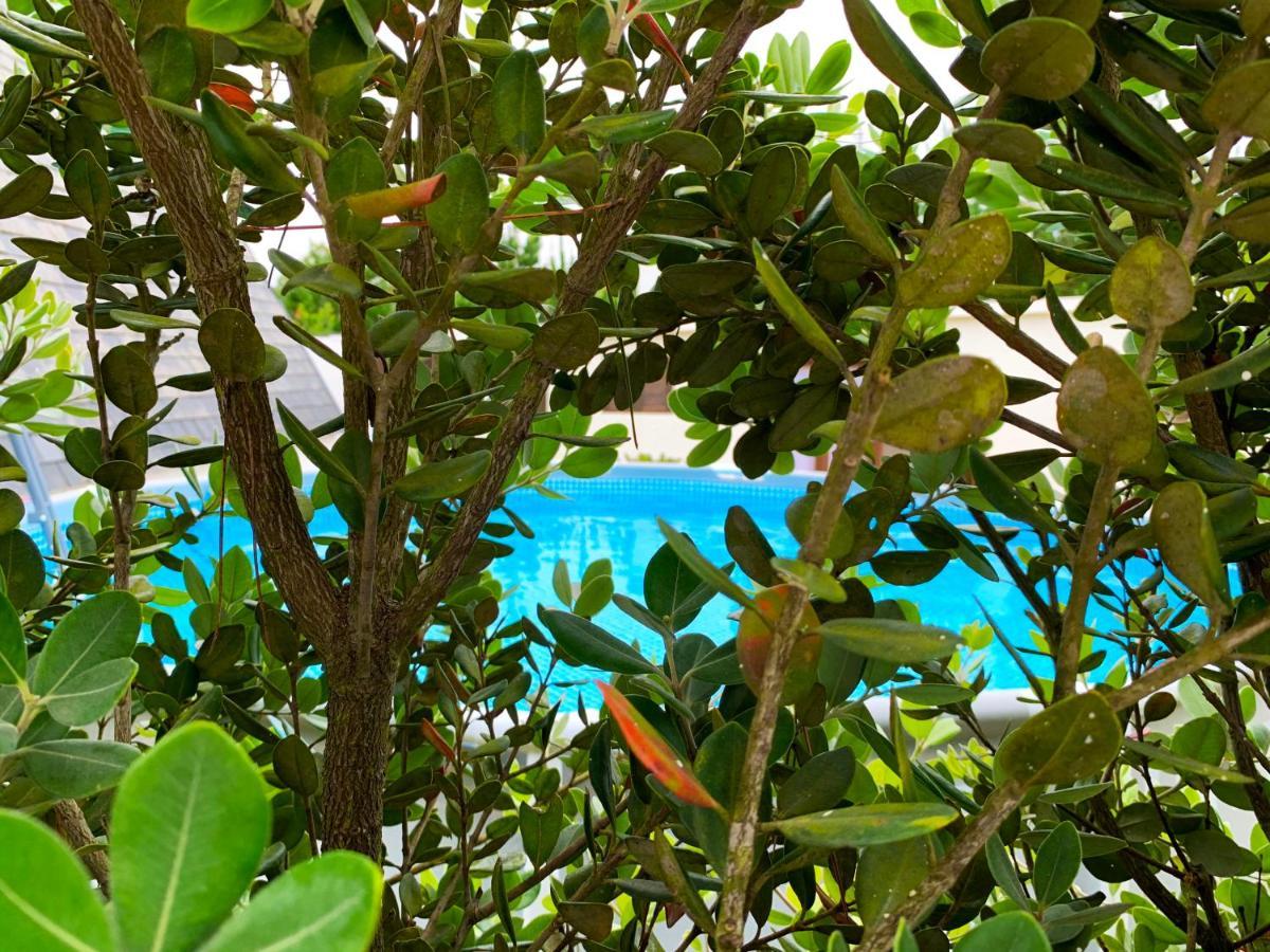 Beachliving Cabana Villa Esmoriz Kültér fotó